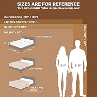 Vista 421 de Bedsure GentleSoft Twin Blanket for Couch - Cozy Soft Blankets for Women, Cute Small Fleece Throws for Girls, Light Grey, 60x80 Inches