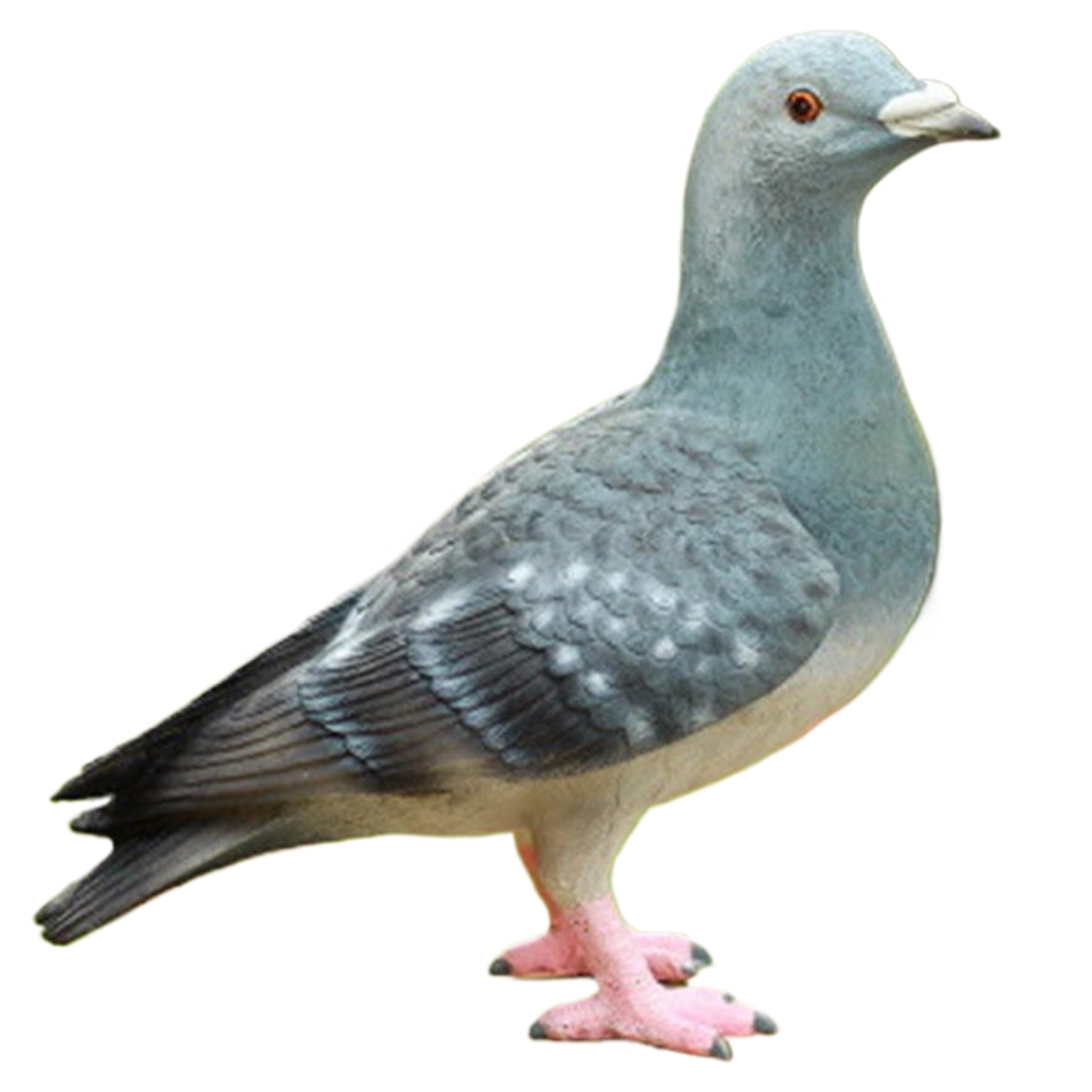 Temeemeg Pigeon Resin Lifelike Bird Figurines with Detailed Feathers Texture Bird Statue with Realistic Appearance for Garden Lawn Yard Outdoor, Grey.