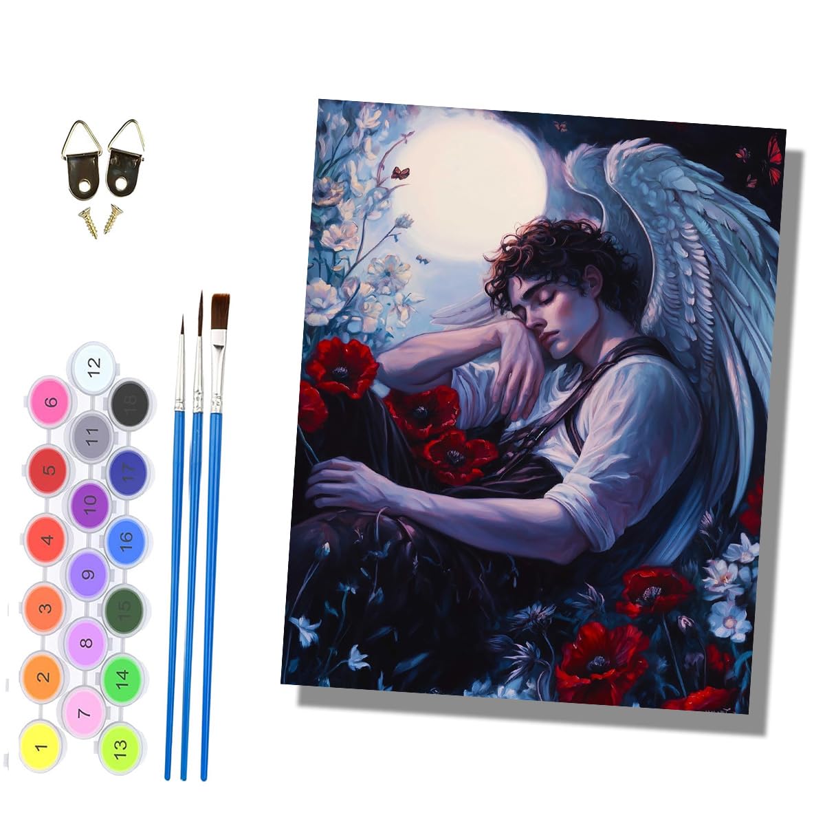 HONGPZH Paint by Numbers for Adults and Beginner Painting by Number Kits On Canvas Without Frame DIY Color Oil Painting Acrylic Paints Home Wall Decor 40x50cm/16x20in Poppy Wings Boy