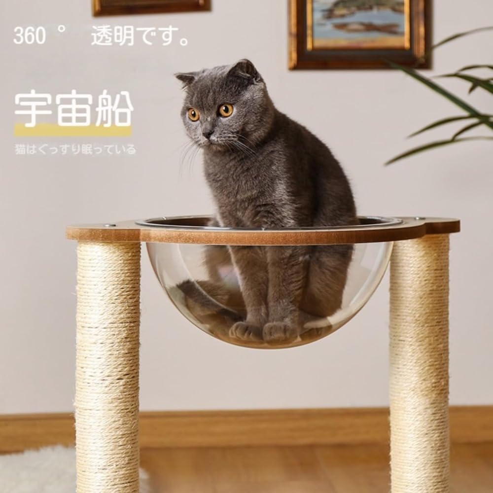 Amazon | キャットタワー 木製 宇宙船ハンモック 大型猫用 お