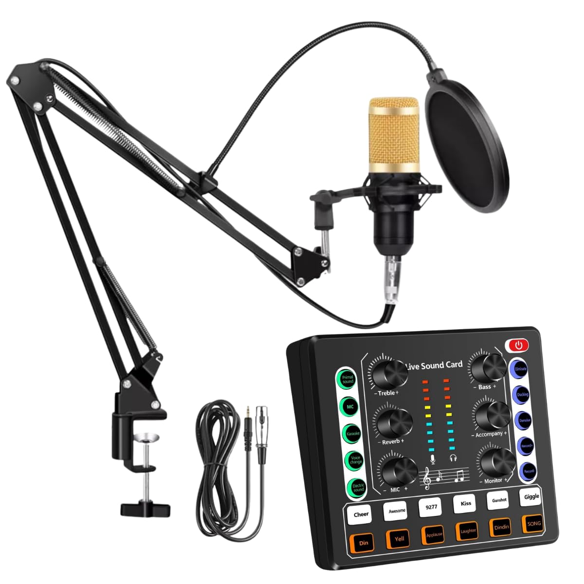 Imaginea Professional BM 800 Mic with V9 Live Sound Card Condenser