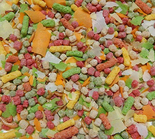 Gammarus Bachflohkrebse - Naturfutter Für Fische, Reptilien & Vögel