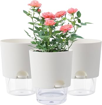 Oliz 6 Inch Self Watering Planter Pots for Indoor Plants, 3 Packs African Violet Pots with Wick Rope and Visible Reservoir Self Watering Planter for Herb, Houseplants