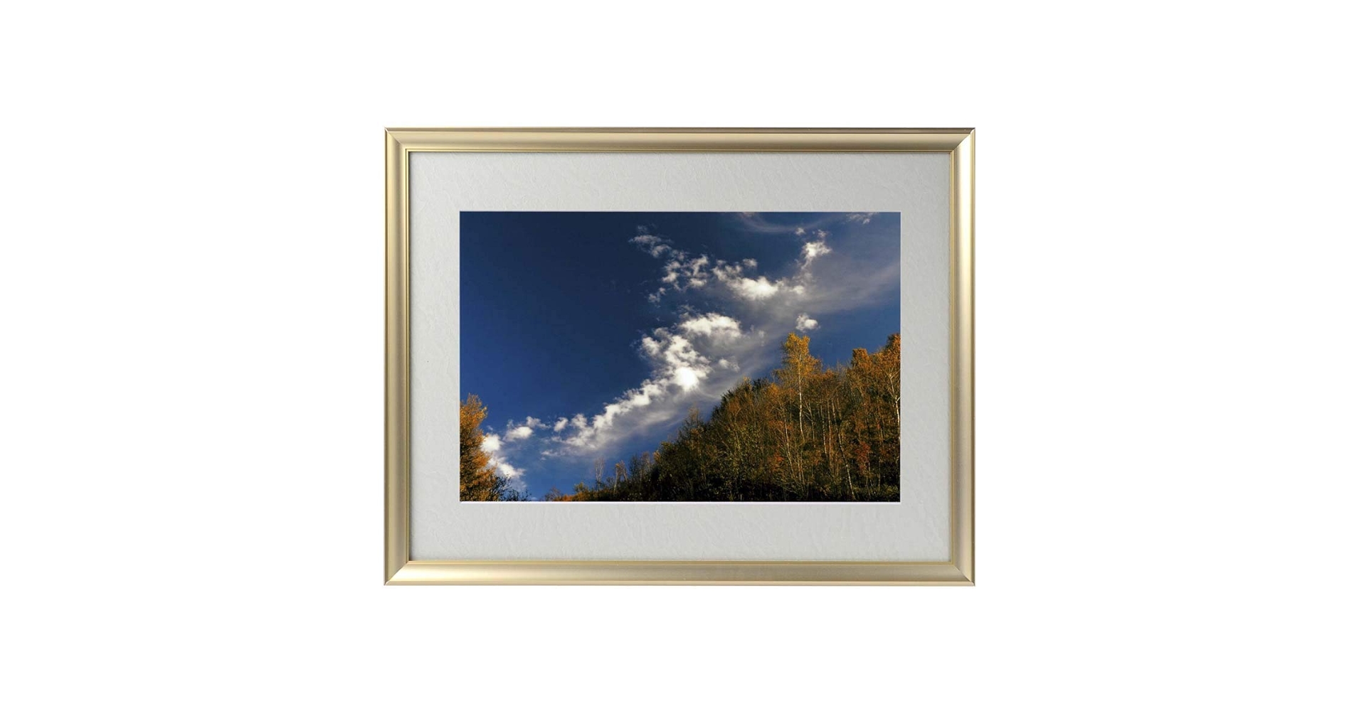 秋元隆良    奇跡の写真              鳳凰ー発光  ～正規品～ 秋元隆良 奇跡の写真 鳳凰 発光 開運 幸運 画像 写真 開運開運