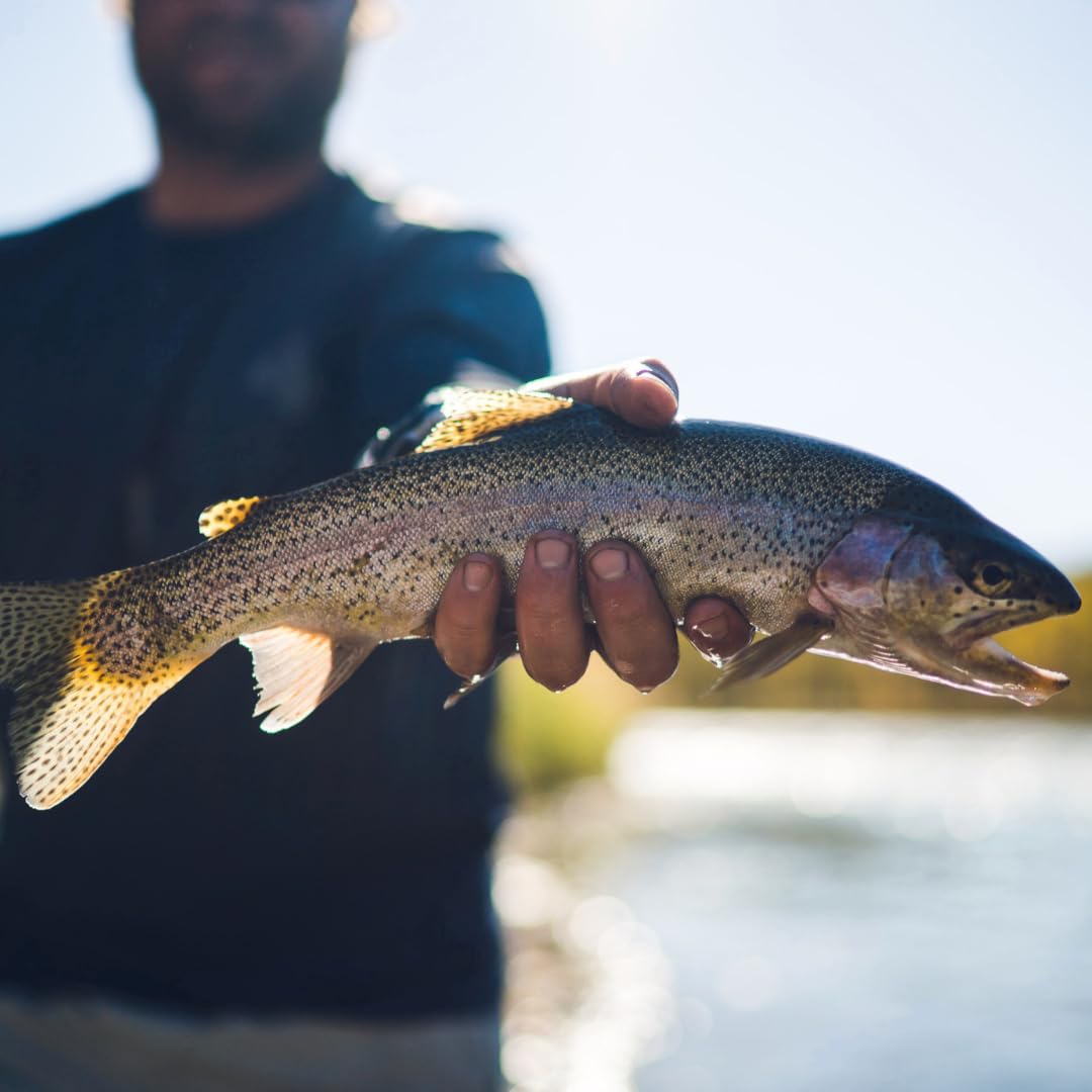 Calendario de pesca con mosca estilo adviento para abrir la temporada