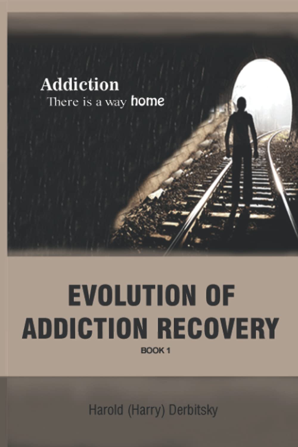 Independently Published Evolution Of Addiction Recovery