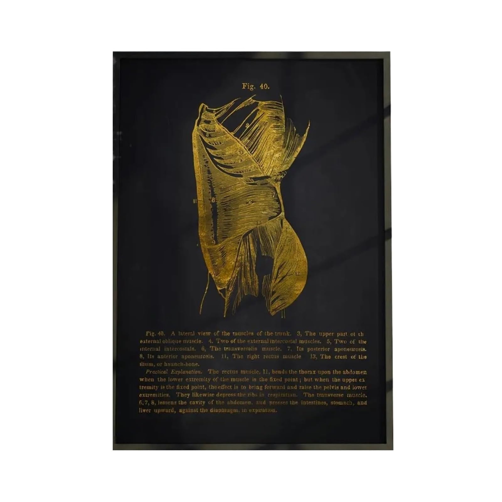 1 Szt. Wykres Anatomii Ludzkiego Ciała Plakat Wodoodporna Dekoracja Ścienna Samoprzylepna Do Każdej Przestrzeni Idealny Prezent