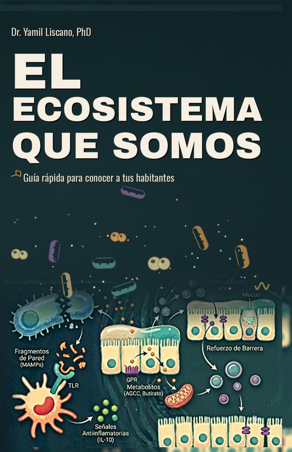 EL ECOSISTEMA QUE SOMOS: Guía rápida para conocer tus habitantes