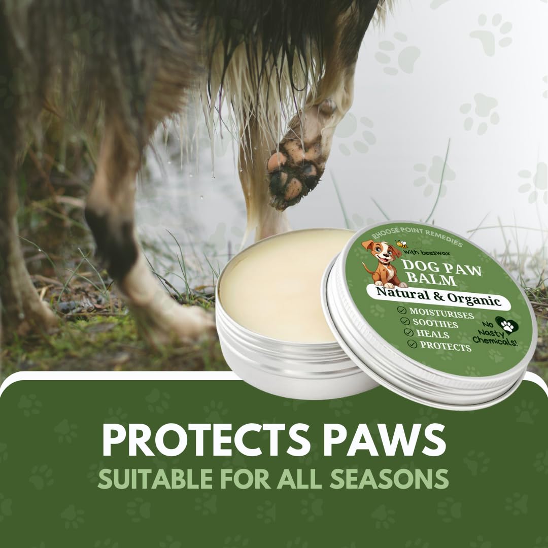 Dog Paw & Nose Balm 30ml, Lick-Safe Natural Moisturiser, protect and Heals Cracked Paws, Noses & Skin - Image 3