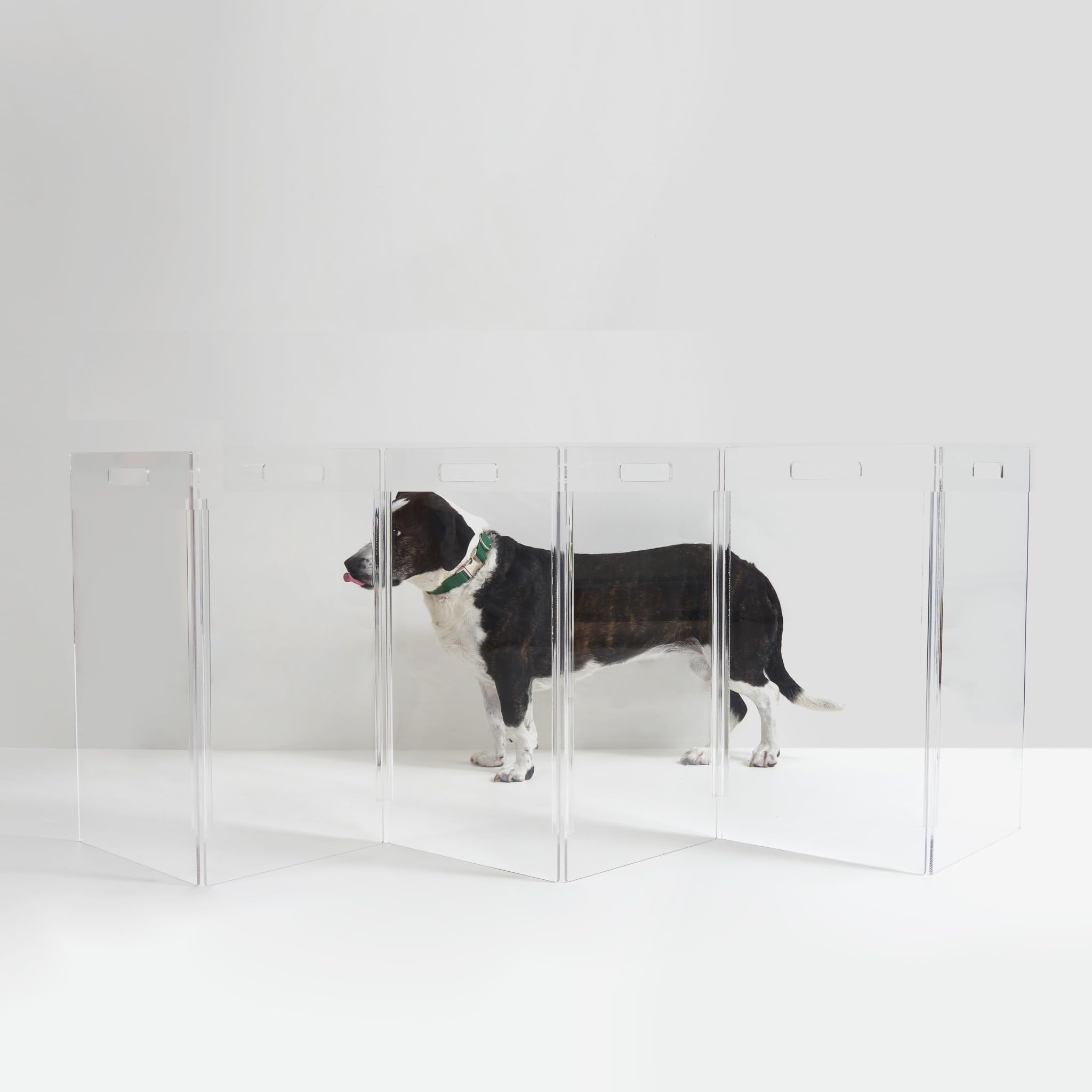 Hiddin Clear Acrylic Dog Gate - Low Zig Zag Clear Pet Gate for Home 6 Panels - Sturdy Free-Standing Design - Modern Acrylic Dog Pen - Transparent Pet