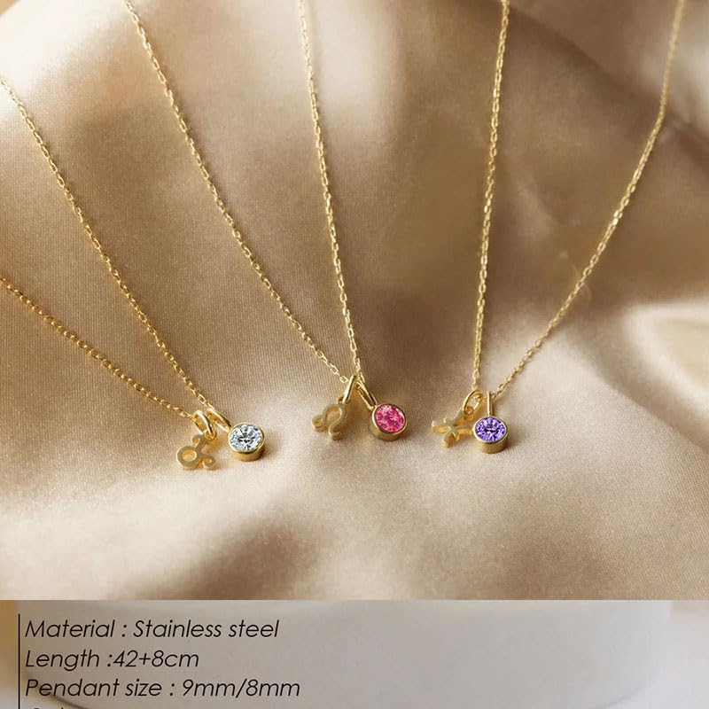 Taremoci Fashionable and minimalist women's pendant necklace, twelve constellations necklace, jewelry gift for women, necklace, couple's birthday (February)