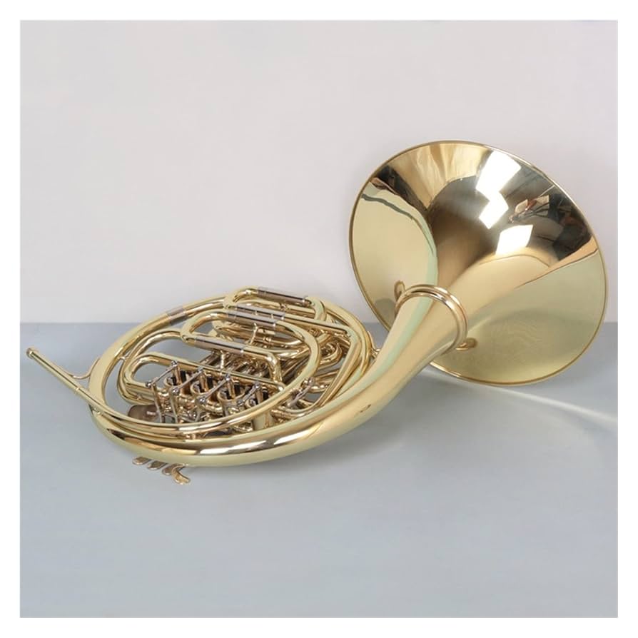 フレンチホルン本体 5バルブ ポリッシュ仕上げ フレンチホルン本体 5バルブ ポリッシュ仕上げ Amazon | 初心者