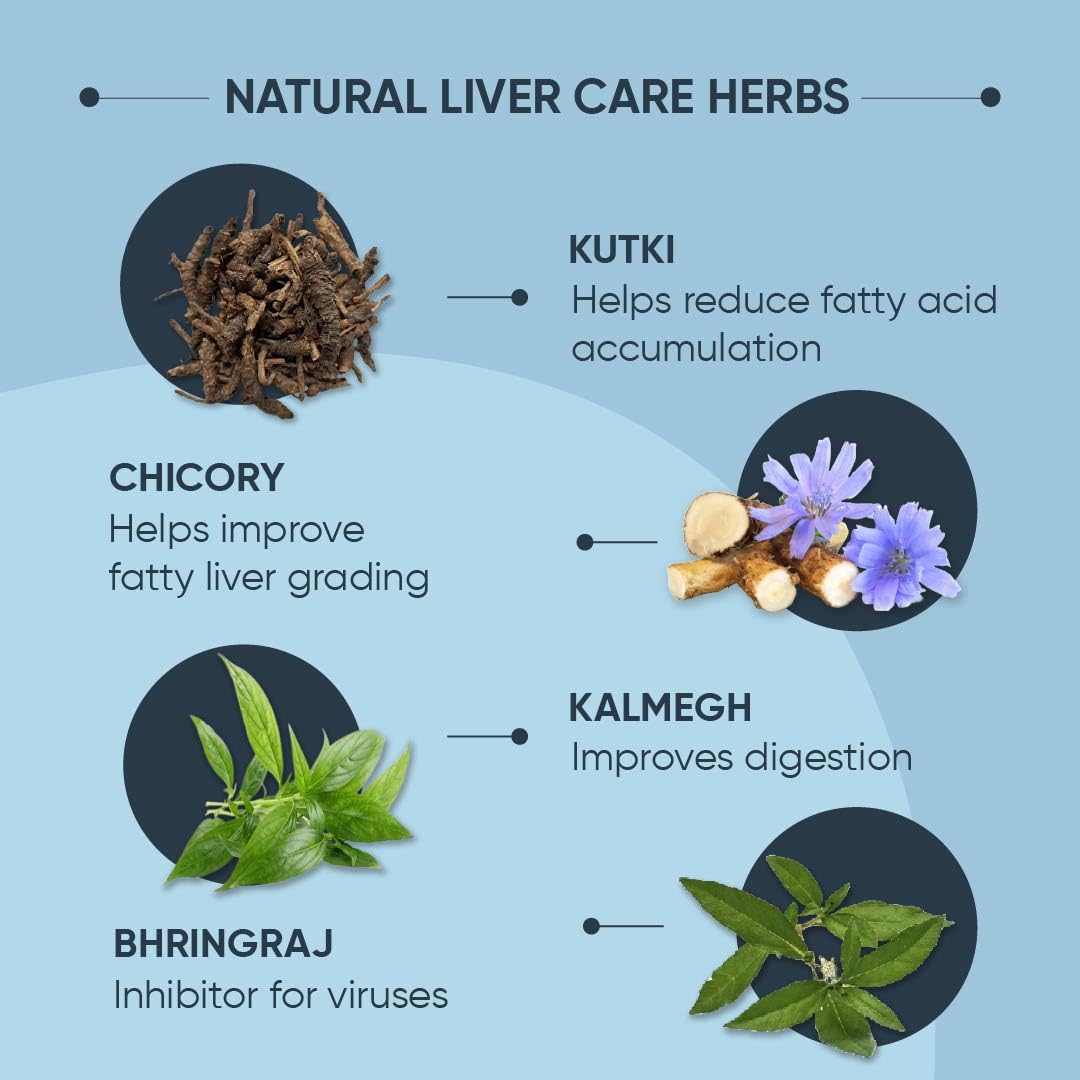 Dr. Vaidya's Liver Care Tablets | Ayurvedic Liver Detox Supplement for Fatty Liver Relief & Natural Liver Cleanse | 60 Herbal Liver Detox Tablets for Men & Women (30 Tablets) (Pack of 2) 2