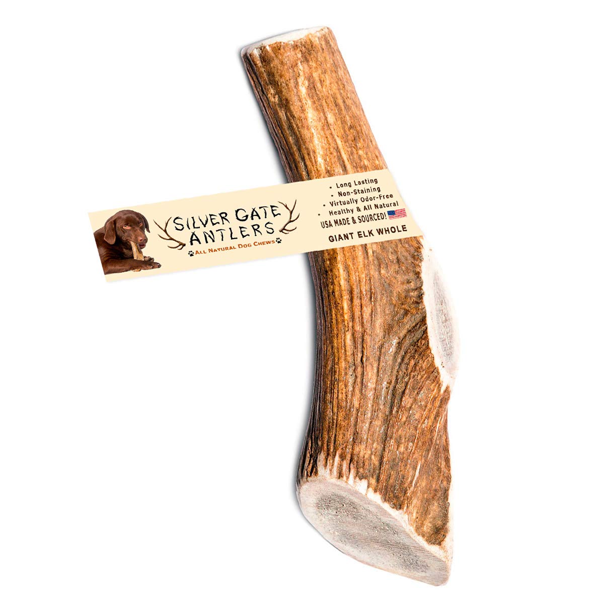 Silver Gate Antlers Elk Antlers for Dogs - Giant (XXL) 8 to 10 Inch Antler Dog Chew, Whole - USA Made All Natural Elk Dog Chews - Long Lasting Durable Chew Toys for Aggressive Chewers