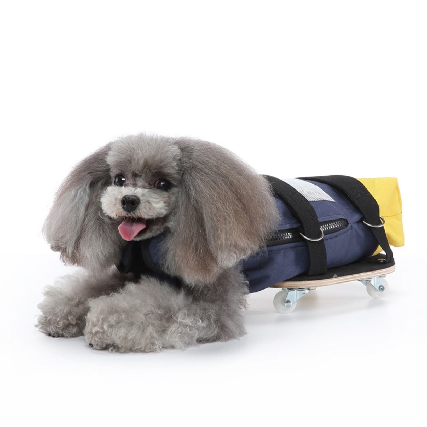 Alternative au fauteuil roulant d'intérieur pour animaux sac de transport chiens pattes arrière