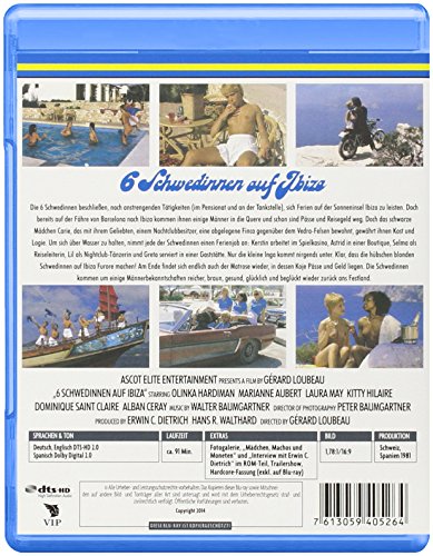 6 Schwedinnen auf Ibiza (Schwedinnen Collection)