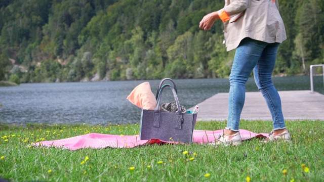 Tebewo Grote vilten boodschappentas met handvat, boodschappenmand, ook als opvouwbare tas voor open haard-hout; veelzijdige draagtas, voor het opbergen van speelgoed, kleur grijs - Image 8