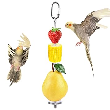 QBLEEV Bird Food Holder, Bird Feeders, Stainless Steel Parrot Fruit Vegetable Stick Holder, Foraging Toy, Bird Treat Skewer Large Size