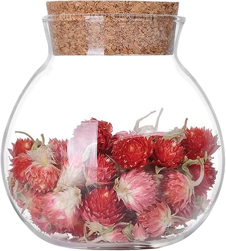 Miniatura 1 de Tanque sellado de vidrio redondo vacío transparente con tapón de corcho, botellas reutilizables de gran capacidad, contenedores de almacenamiento