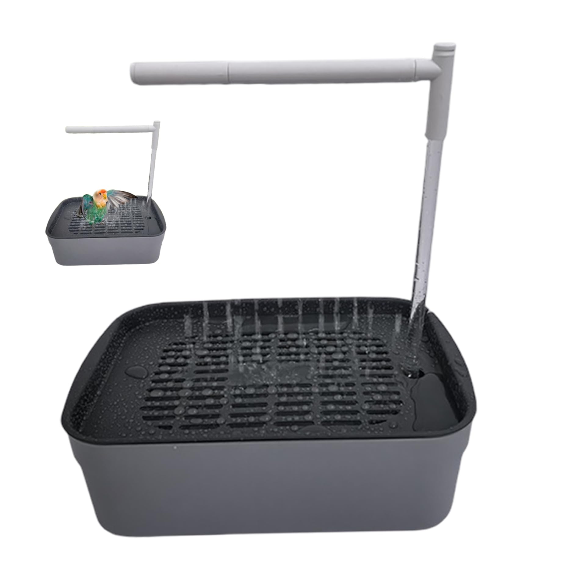 Baño automático para loros que evita el agua estancada con sistema de ducha USB