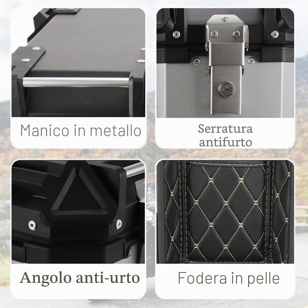 Borse Laterali da 38 L in Lega di Alluminio per Moto e Scooter, Box Posteriore Rigido Universale, Spessore 1,5 mm (Nero)