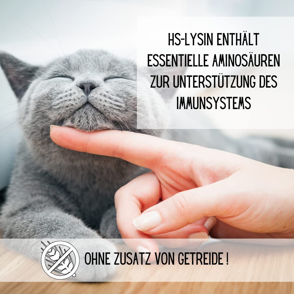 L-Lysin HCL 100g - Ergänzungsfuttermittel für Hunde & Katzen - Einsatz bei Haustieren mit geschwächtem Immunsystem - ohne Zusatz von Getreide!