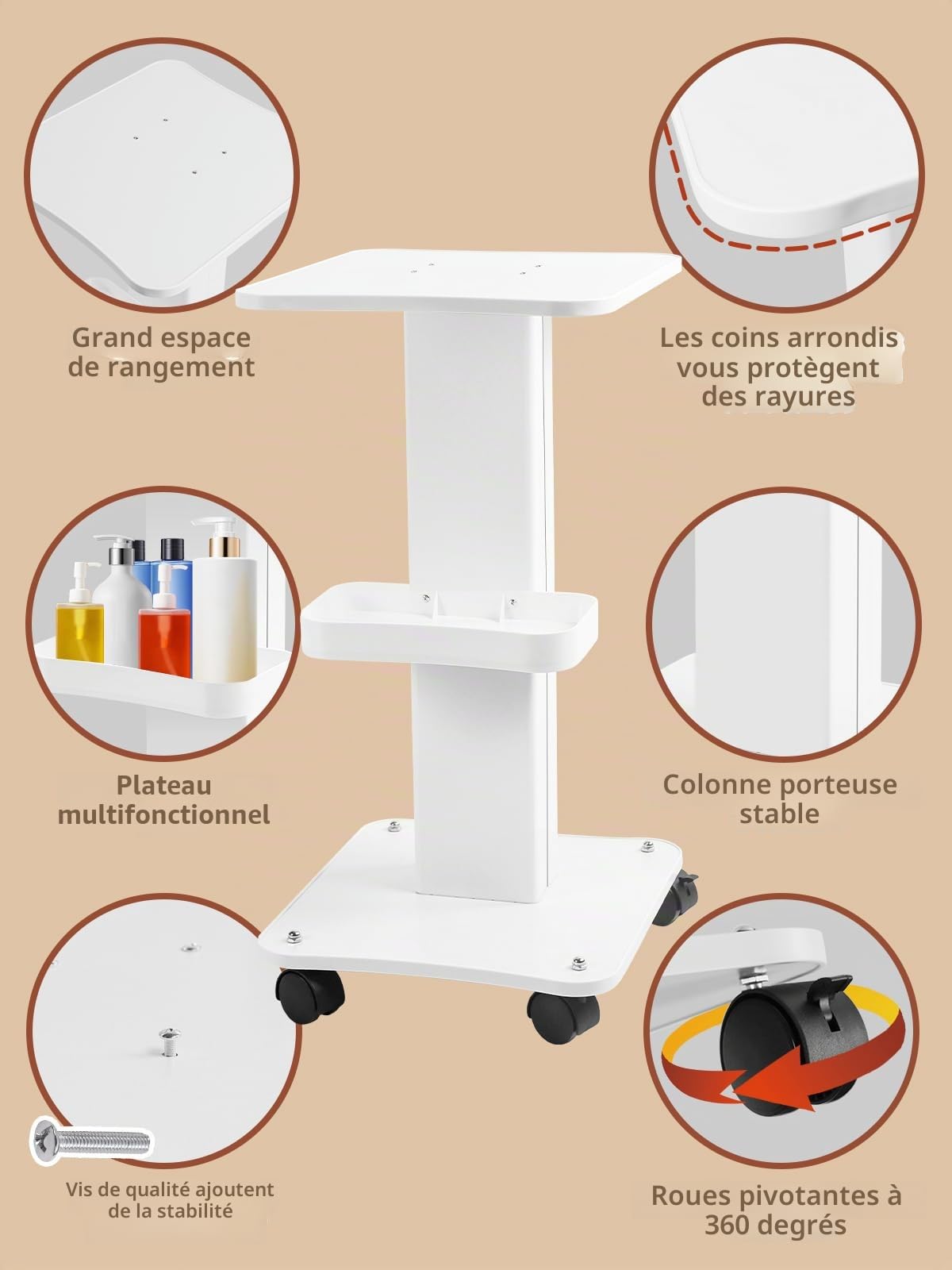 Chariot de Salon de Beauté en Alliage d'Aluminium avec Roulettes et Plateau de Rangement Portable pour Spa Maquillage