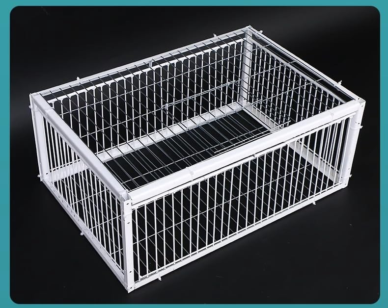 Jaula de palomas de malla gruesa con entrada unidireccional automática y chasis modular resistente