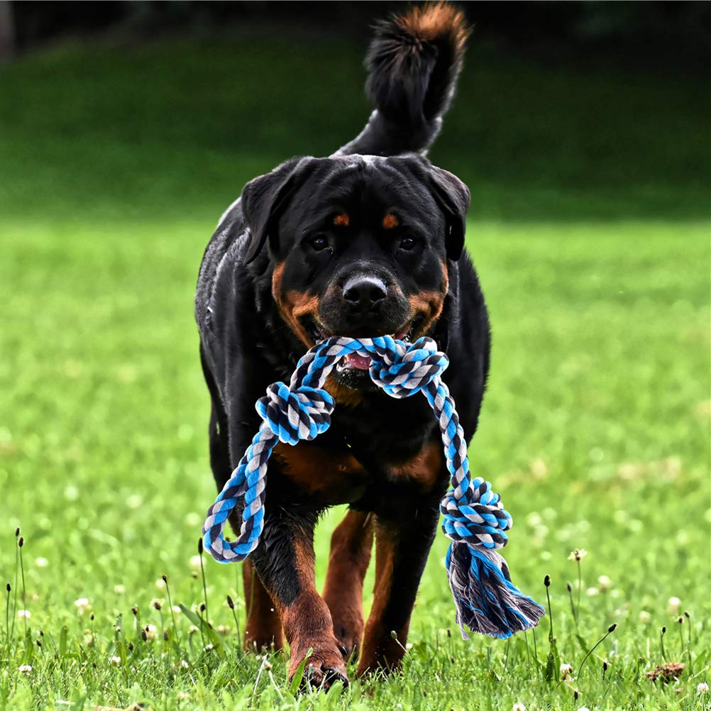 Corda Giocattolo per Cani, Giocattolo per Cani tiro alla Fune Giocattolo Molla all'aperto Appeso Esercizio Corda Corda da Masticare Giocattolo con Una Corda