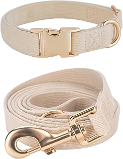 Juego de collar y correa de pana suave para perro, collares ajustables y duraderos para perros con hebilla de metal y correa para perros pequeños, color beige