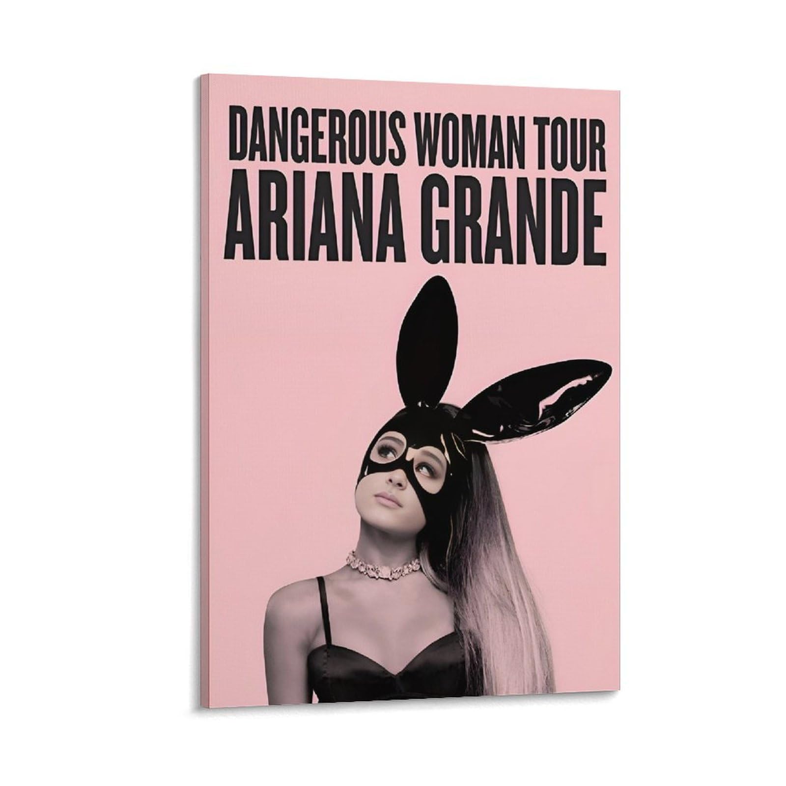 Amazon.co.jp: 音楽歌手Ariana Grande アリアナ・グランデグッズウサギ