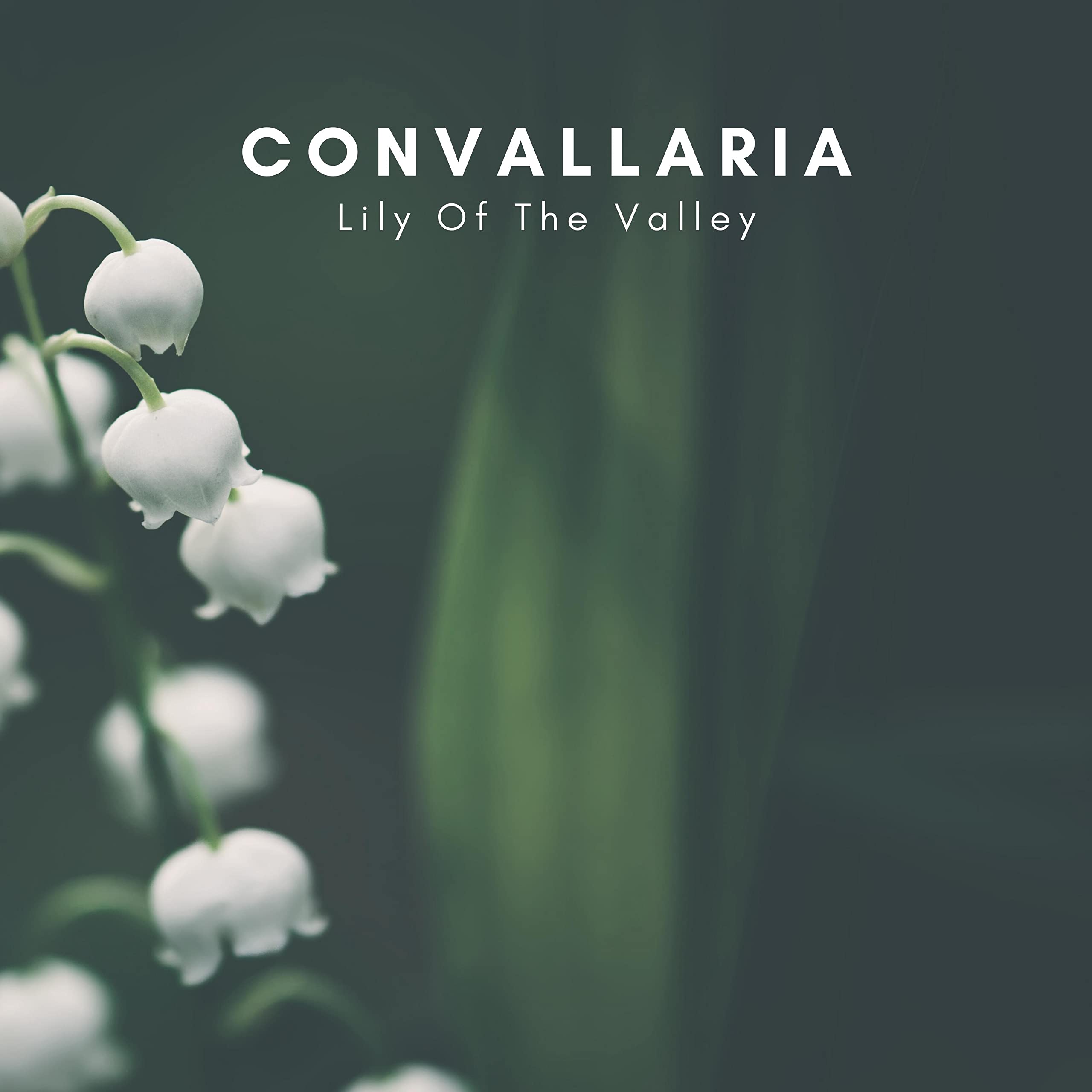 Convallaria