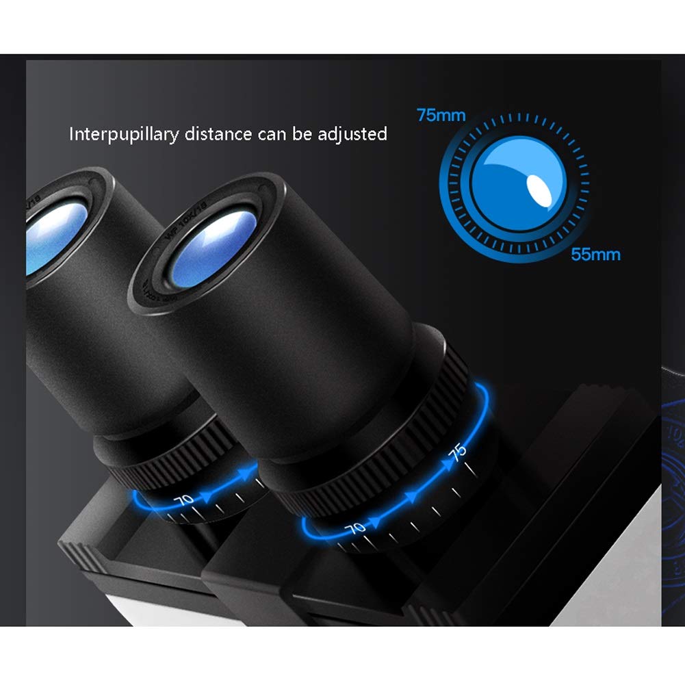 Condensatore di Illuminazione con Lente d'Ingrandimento per microscopio Composto per Laboratorio didattico, Kit scientifico per hobbisti