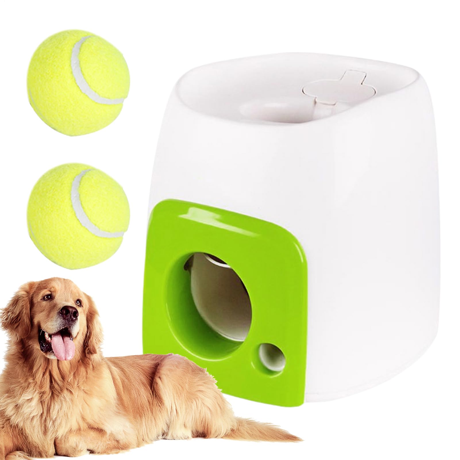 Lancement Automatique de Balle pour Chiens | Lanceur de balles pour Petits Chiens, interactifs récompense pour rapporter Le Rouleau d'activités Amusantes