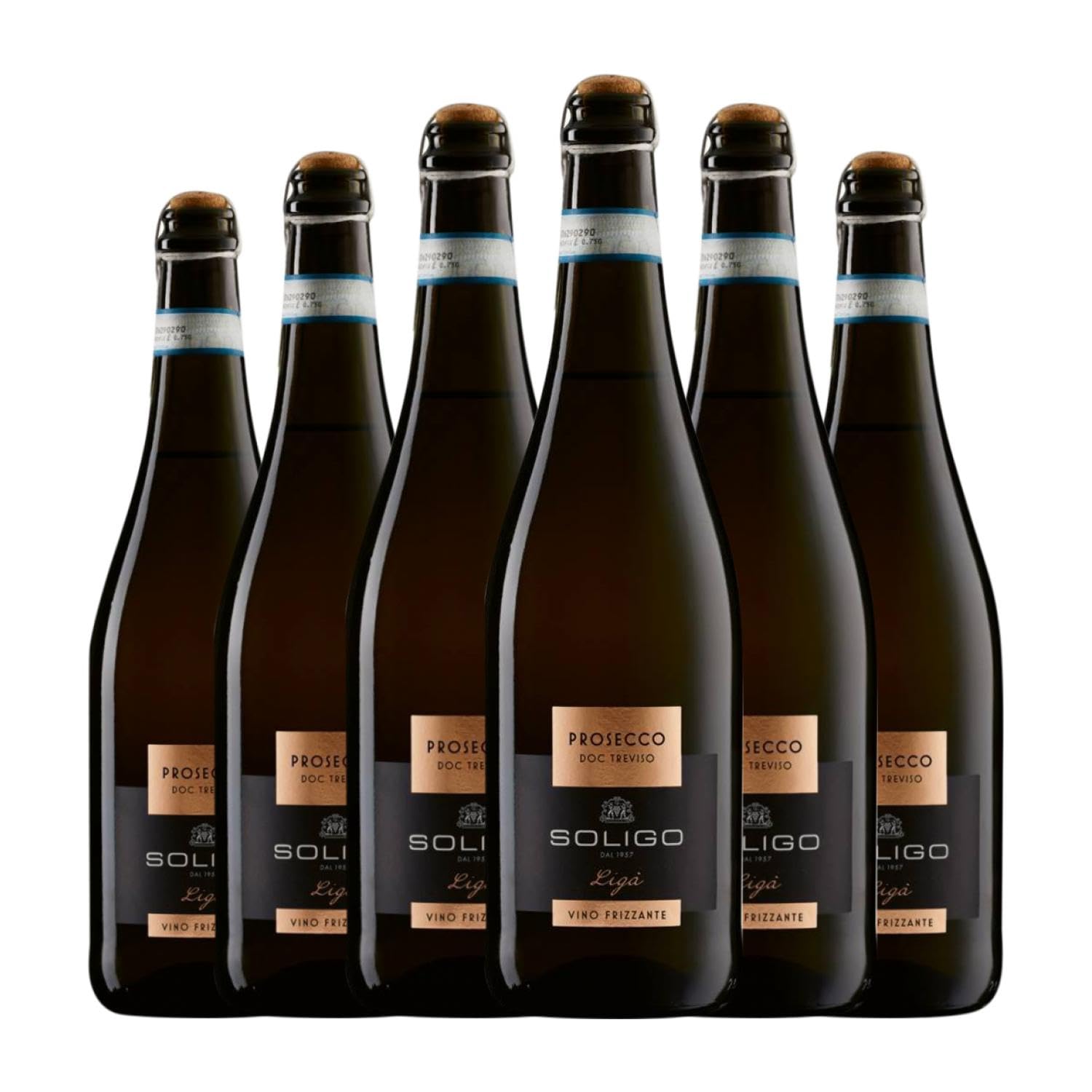 Colli del Soligo Ligá Frizzante Extra Dry Prosecco Extra Trocken Treviso 75 cl Weißer Sekt (Karton mit 6 Flaschen von 75 cl)