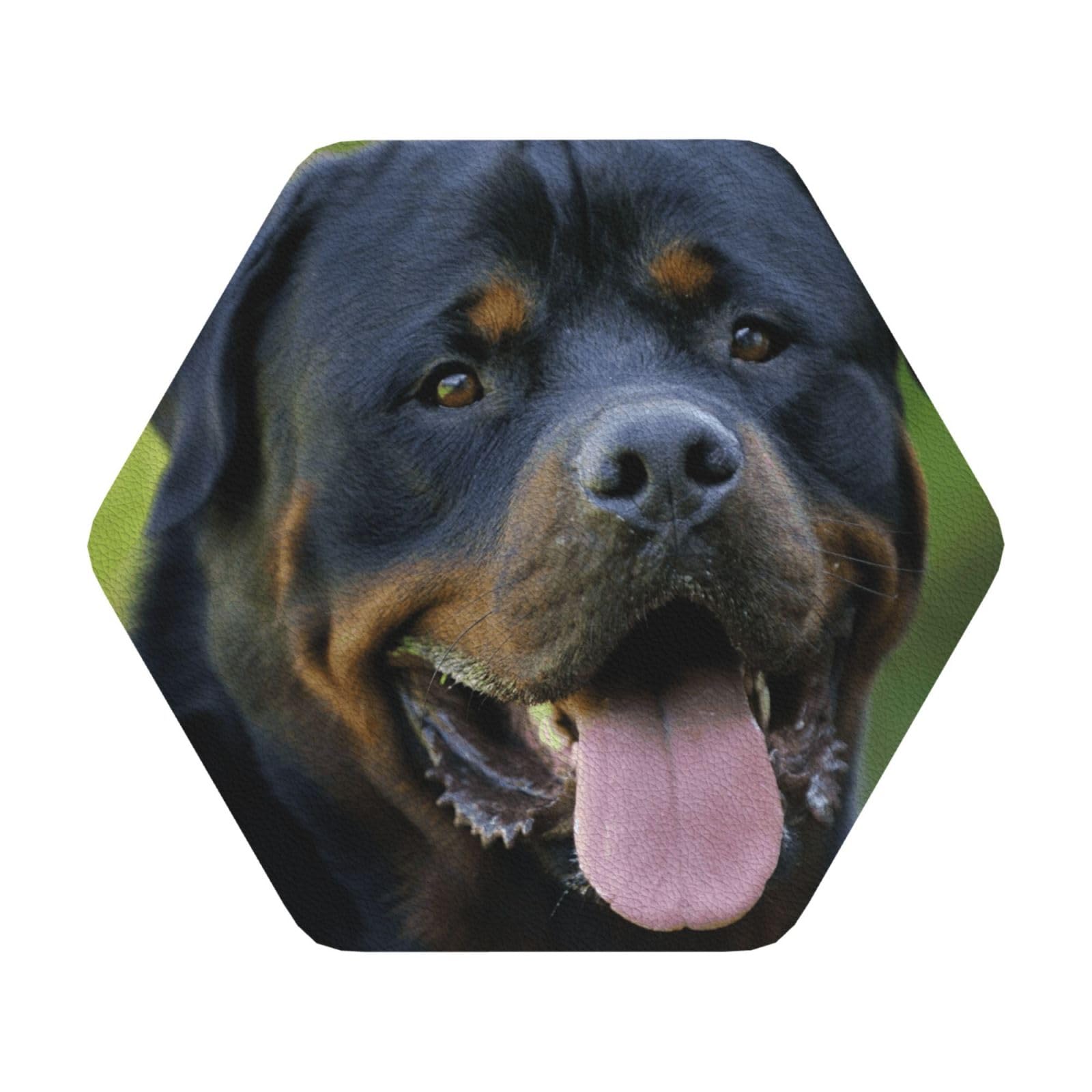 rottweiler wallpaper PU Leather Coasters Set of 6 Hexagon Drink Coasters
