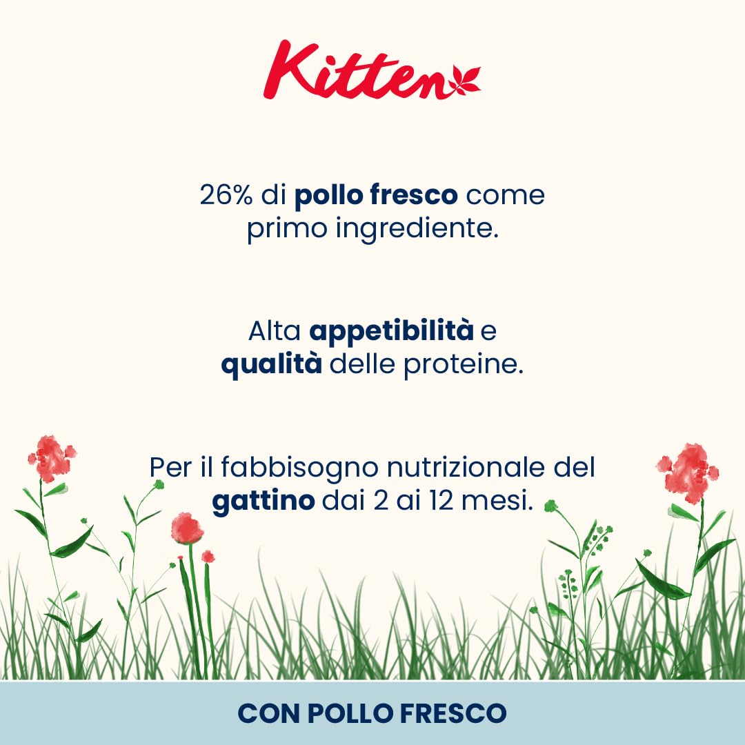 Crocchette Almo Nature HFC Per Gattini - Pollo Fresco, Sacchetto 1.2 Kg