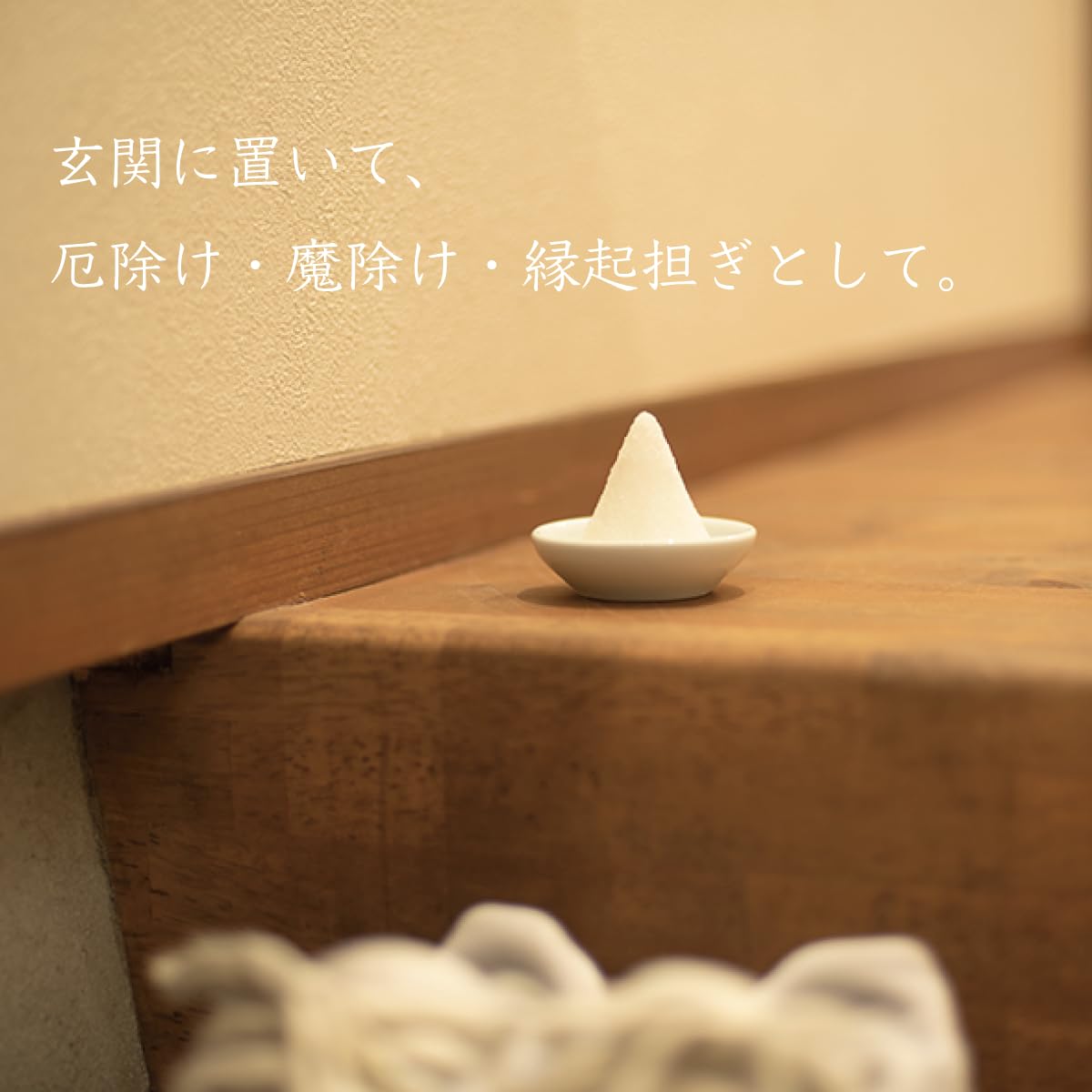 Amazon.com: Salt Set with Dish, PVC Morijio Cleaning, Prevents