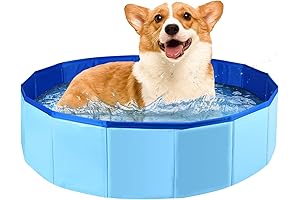 Foldable Dog Pool: Cool Your Pup in Style