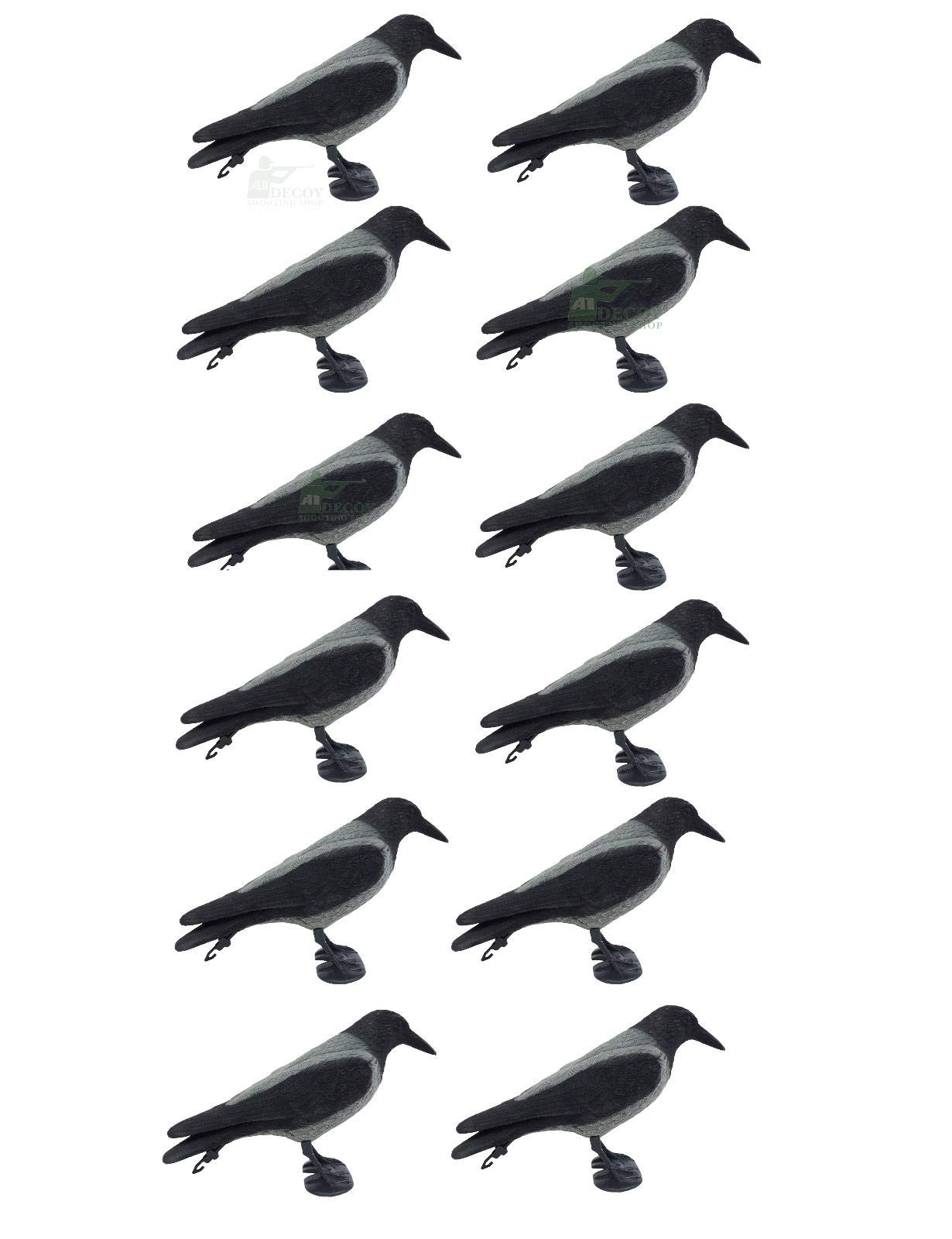 Flocked Crows With Wings | Breathe Sports