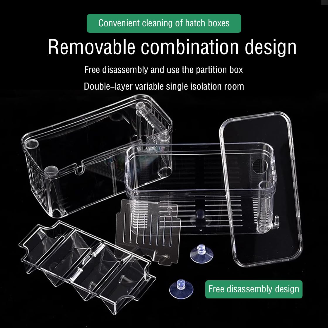 Double Room Breeding Box for Fish Tank Fish Tank Aquarium betta guppy - Image 3