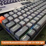 Keychron K2 75% Layout RGB Bluetooth Wireless Mechanical Keyboard with Gateron G Pro Blue Switch/Anti Ghosting/N-Key Rollover, Compact 84 Keys USB Wired Gaming Keyboard for Mac Windows-Version 2