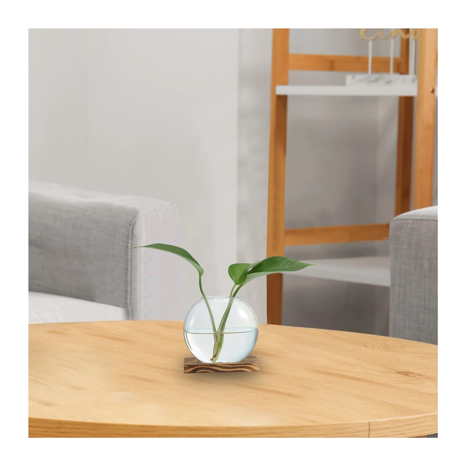 Soliflore en Verre Vase hydroponique en Verre avec Plateau Bois, 2 pièces, Vases à bourgeons, Station de Propagation des Plantes, Fleurs for Chambre Coucher, décoration Table Maison(Brown)