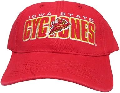 College Allumni Baseball Hat Vintage 