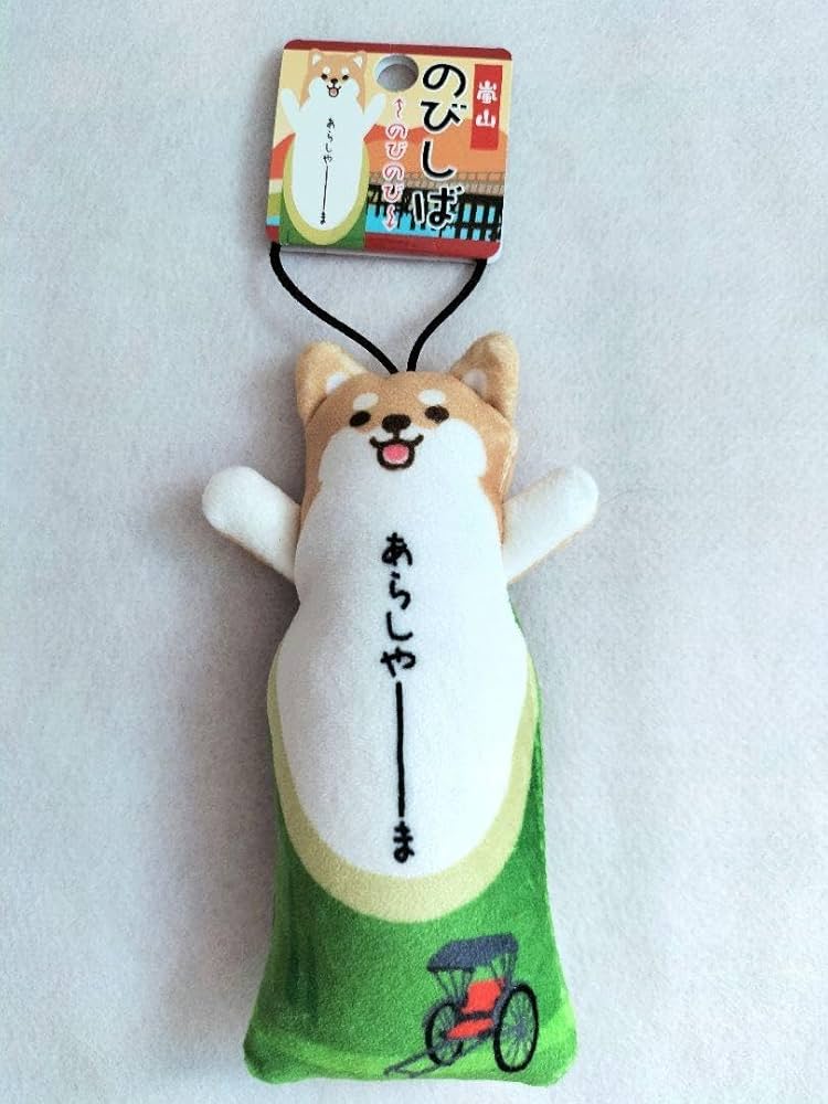  peak ARASHIYAMA 450ml 嵐山限定 peak ARASHIYAMA チタンマグ 450ml 嵐山限定 snow peak