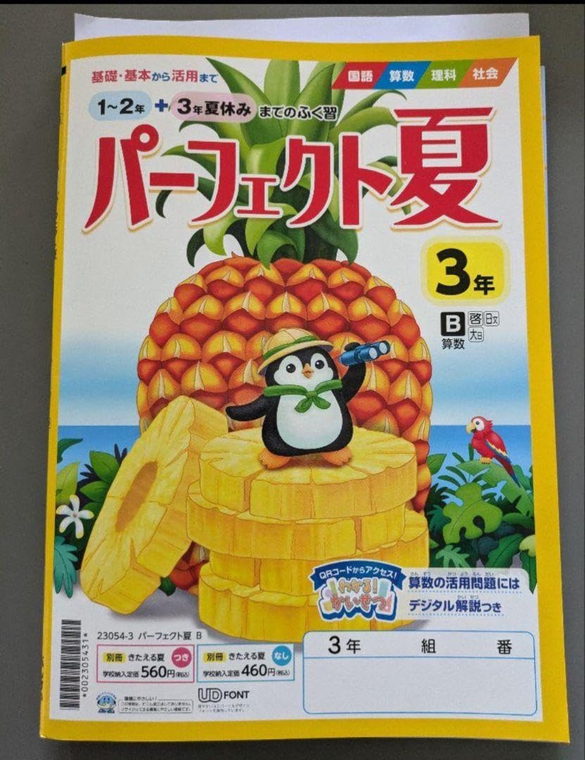 Amazon | ぶんけい パーフェクト夏3年 のテスト 国語 算数 テストと