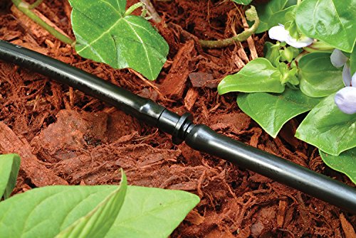 Rain Bird Bc25-30Ps Drip Irrigation Universal 1/4" Barbed Coupling Fitting, 1/4" Drip Tubing, 30-Pack #TOP2