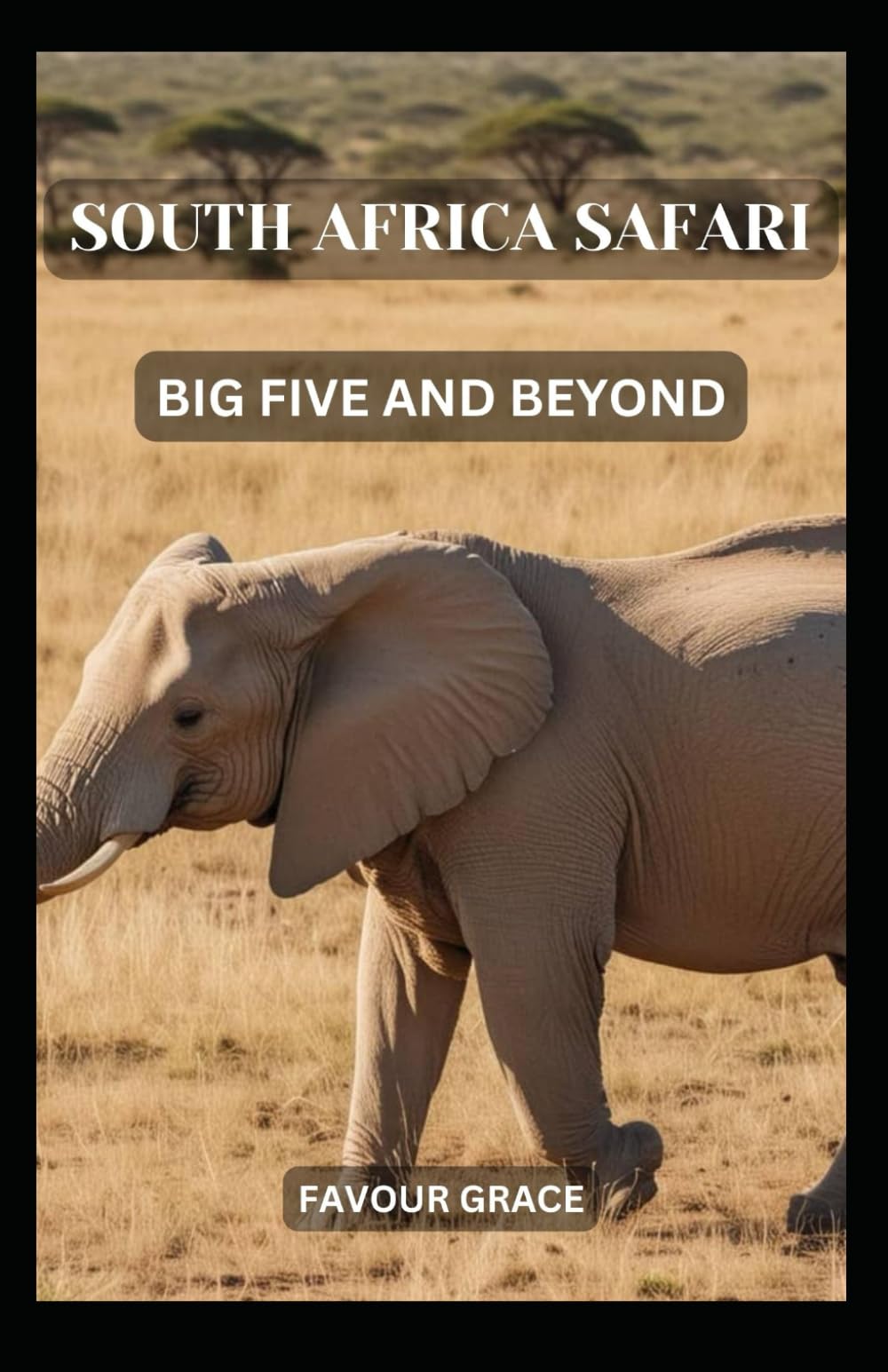 SOUTH AFRICA SAFARI: BIG FIVE AND BEYOND