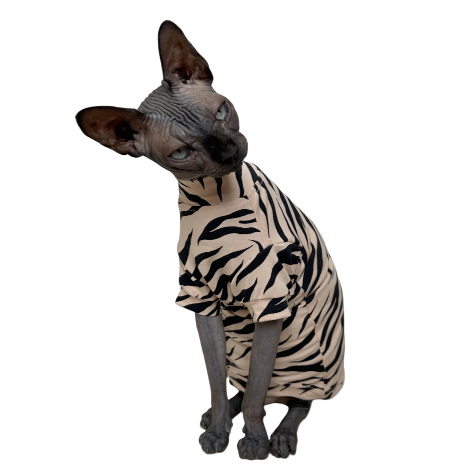 Limited Edition Sphynx Cat Cotton T-Shirts Hairless Cat Sweatshirt Pet Kitten Clothes Round Collar Kitten Shirts Vest Cats & Small Dogs Apparel (White