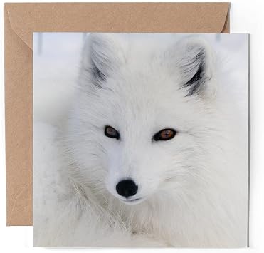 1 x Greeting Card Arctic Fox Wild Animal Portrait - Blank Birthday Celebration Anniversary #44141